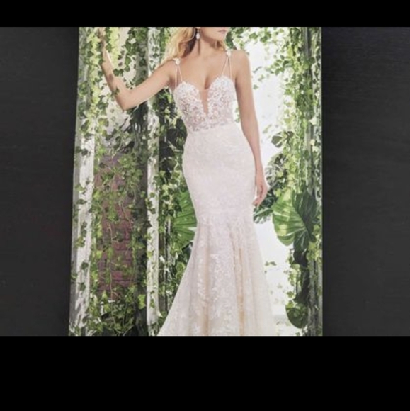 Morilee Wedding dress - Picture 4 of 4